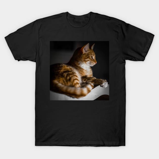 Weasley the ginger tabby T-Shirt by Sampson-et-al